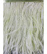 FRINGE OSTRICH FEATHERS 10 CMS.