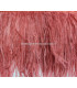 OSTRICH FEATHERS FRINGE - 2 PLY. FIRST QUALITY - 10 CMS.