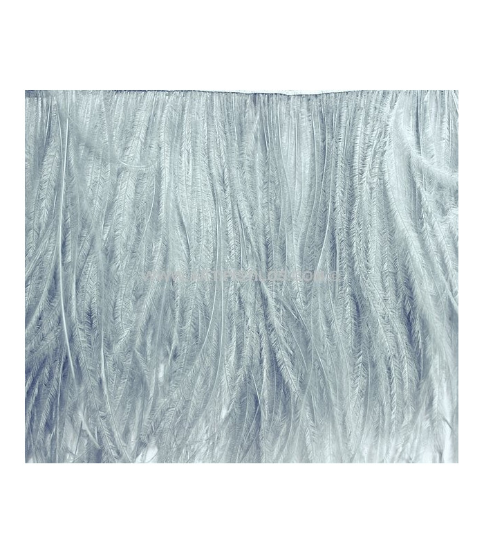 OSTRICH FEATHERS FRINGE - 2 PLY. FIRST QUALITY - 10 CMS.