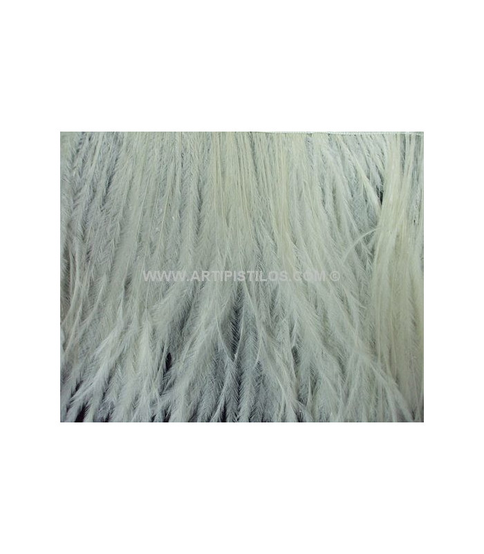 OSTRICH FEATHERS FRINGE - 2 PLY. FIRST QUALITY - 10 CMS.