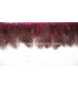 GUINEA FOWL FEATHERS 10 CMS.