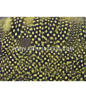 GUINEA FOWL FEATHERS 10 CMS.