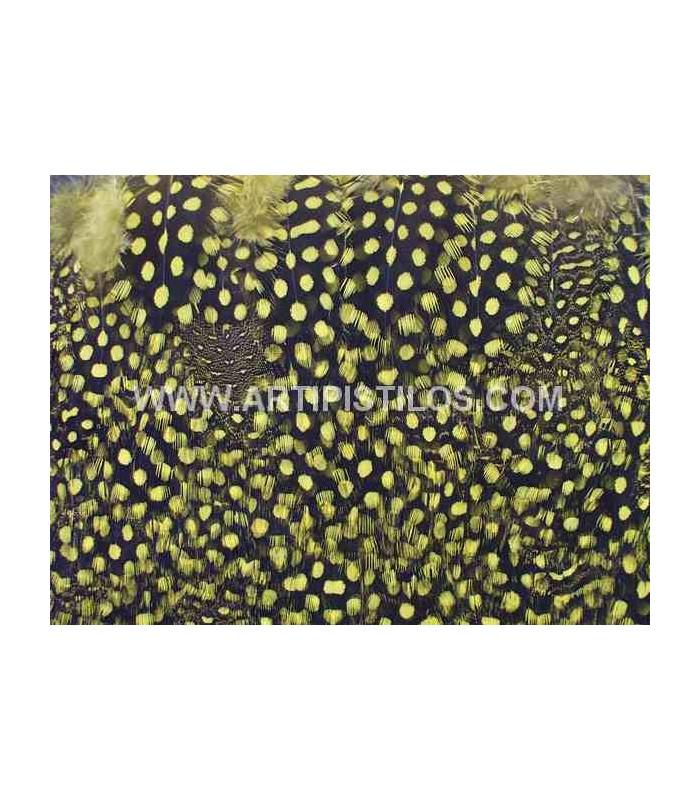 PLUMAS DE GALLINA DE GUINEA 10 CMS.