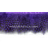 PLUMAS DE GALLINA DE GUINEA 10 CMS.