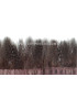 GUINEA FOWL FEATHERS 10 CMS.