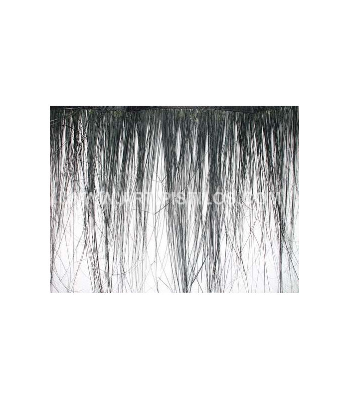 BURNT PEACOCK FEATHERS