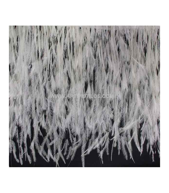 BURNT OSTRICH FEATHERS