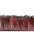 PENAS DE FAISAN LADY AMHERST 7-8 CMS. 20 CMS.