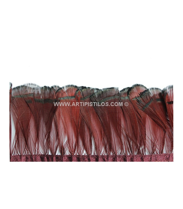 PENAS DE FAISAN LADY AMHERST 7-8 CMS. 20 CMS.