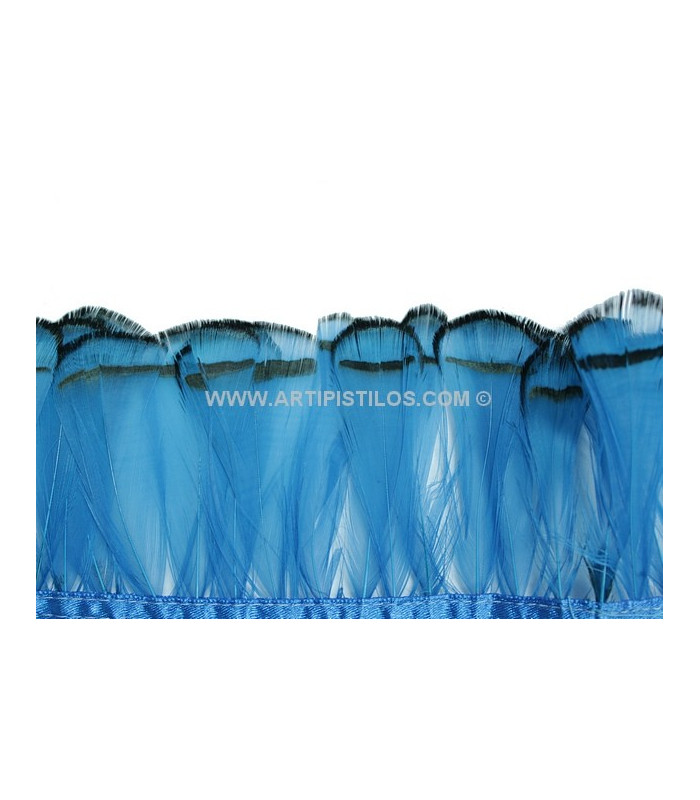 PENAS DE FAISAN LADY AMHERST 7-8 CMS. 20 CMS.