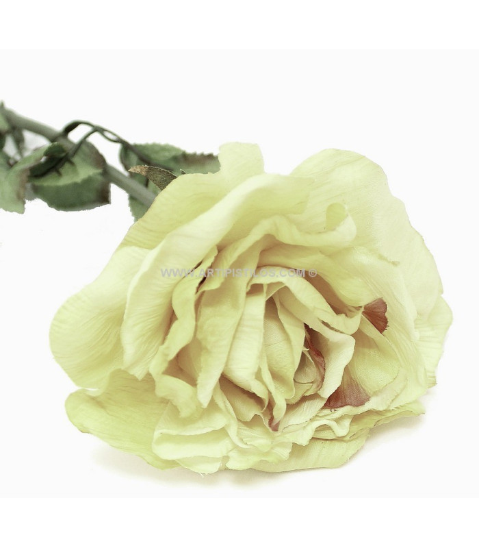 FABRIC ROSE 1ª QUALITY PAPYRUS EFFECT