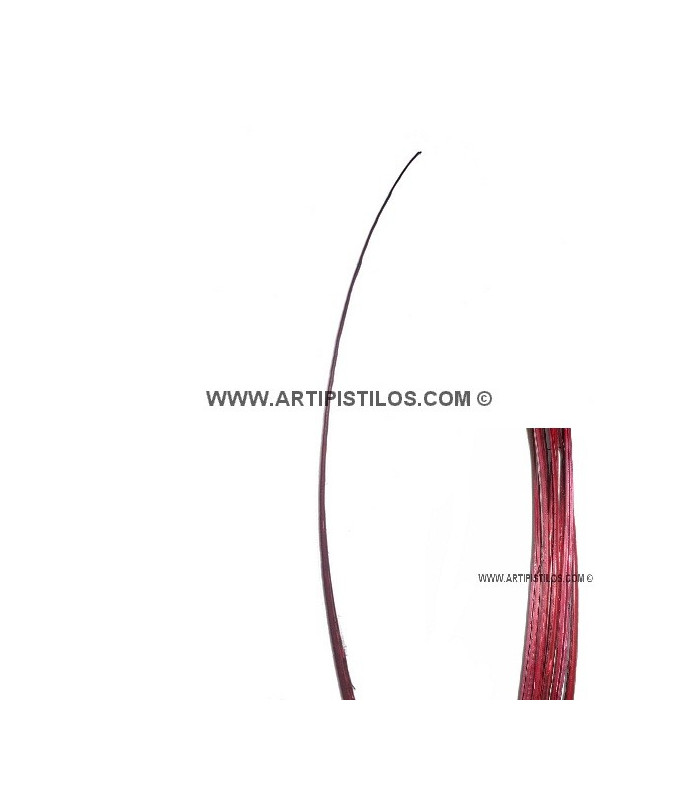 RAQUIS 51 - 56 cm