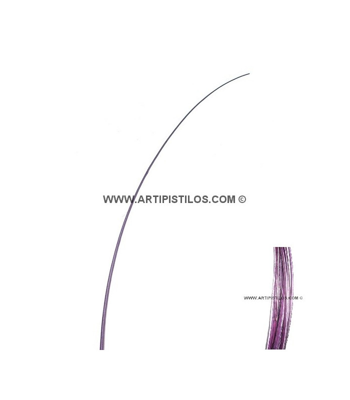 RAQUIS 51 - 56 cm