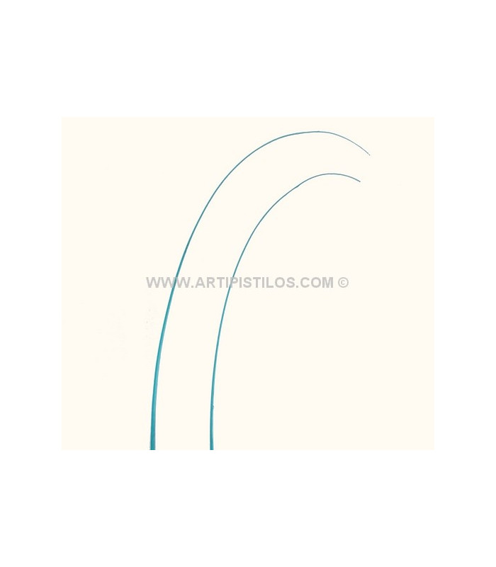 RAQUIS 51 - 56 cm