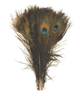 NATURAL PEACOCK FEATHER 30 CMS.