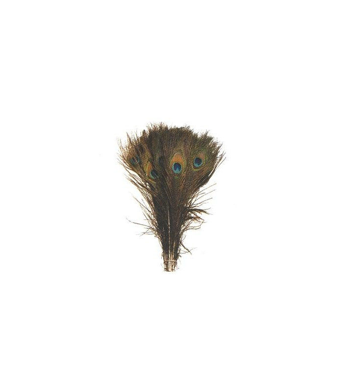 NATURAL PEACOCK FEATHER 30 CMS.