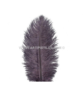 PLUMA DE AVESTRUZ 25-30 CMS.