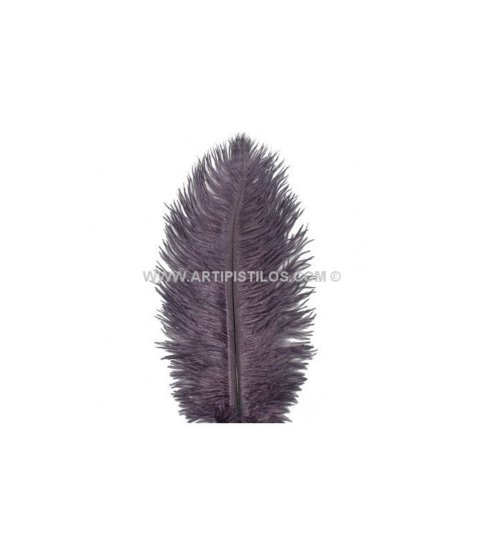 PLUMA DE AVESTRUZ 25-30 CMS.