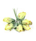 BOUQUET 6 LATEX FLOWERS