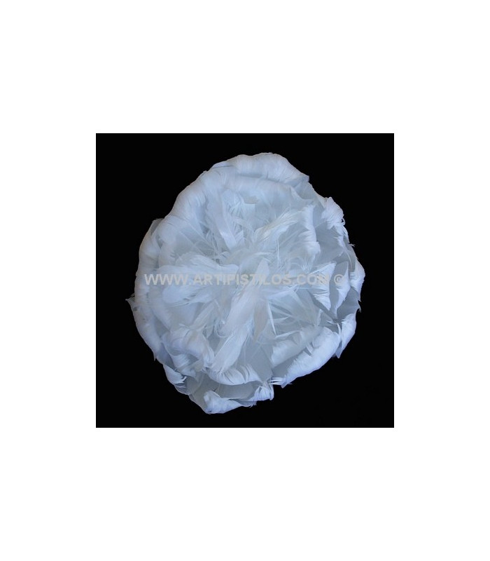 FLOR DE PLUMAS