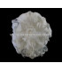 FLOR DE PLUMAS