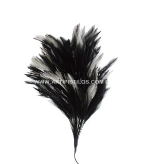 ROOSTER FEATHER MOUNT