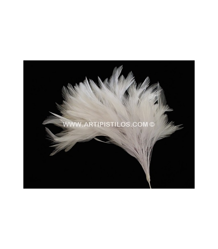 MONTAJE DE PLUMAS DE GALLO
