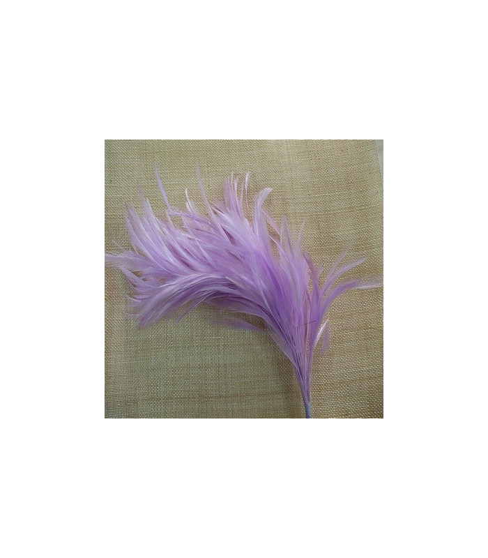 MONTAJE DE PLUMAS DE GALLO