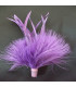 POMO DE PLUMAS DE MARABÚ/OCA