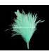 OSTRICH/ROOSTER FEATHERS POM