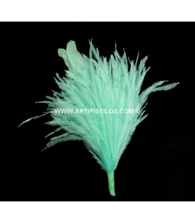 Ostrich/rooster Feathers Pom 16 X 12 Cm Springbud