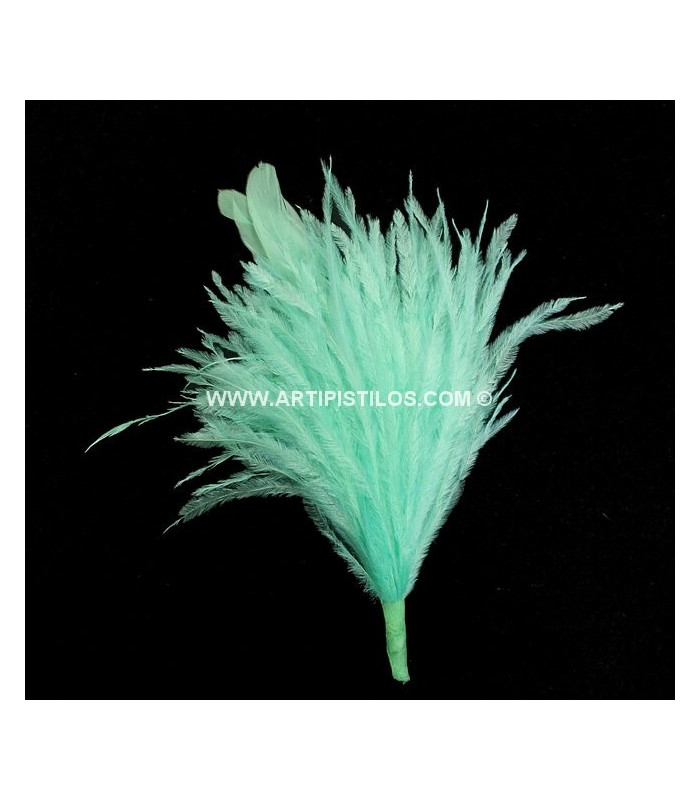 POMO DE PLUMAS DE AVESTRUZ/GALLO