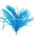 OSTRICH/ROOSTER FEATHERS POM