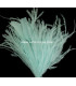 OSTRICH/ROOSTER FEATHERS POM