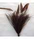 OSTRICH/ROOSTER FEATHERS POM