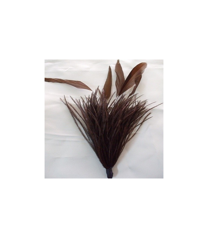 POMO DE PLUMAS DE AVESTRUZ/GALLO