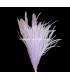 OSTRICH/ROOSTER FEATHERS POM