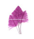 OSTRICH ARROW QUILLS