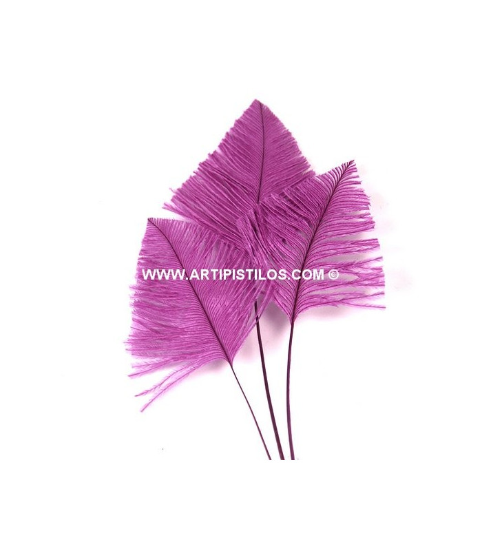 OSTRICH ARROW QUILLS