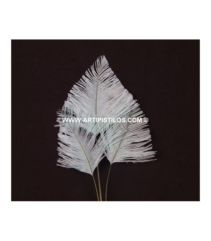 OSTRICH ARROW QUILLS