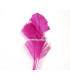 OSTRICH ARROW QUILLS