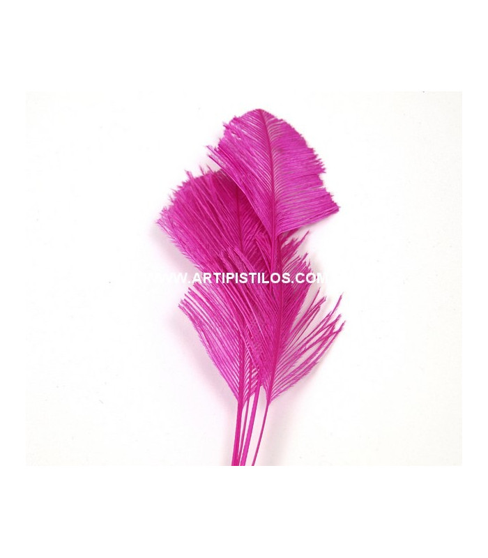 OSTRICH ARROW QUILLS