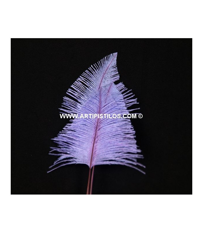 OSTRICH ARROW QUILLS