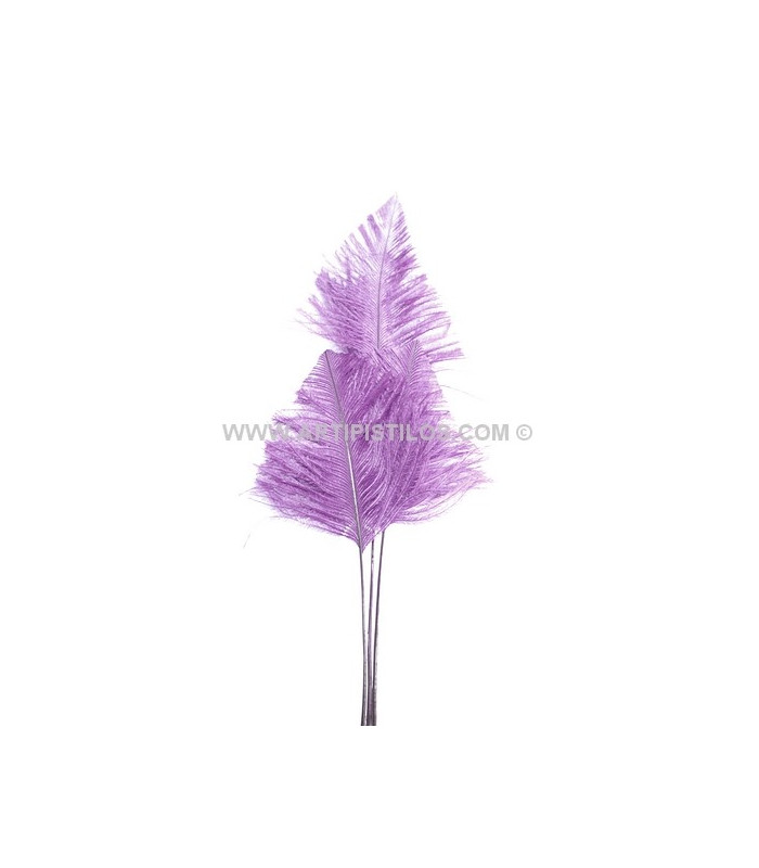 OSTRICH ARROW QUILLS