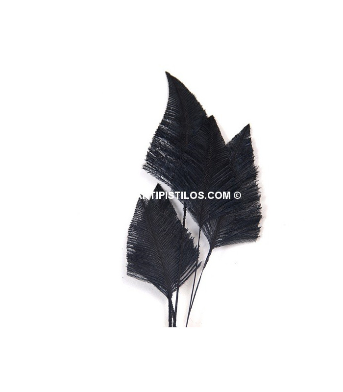 OSTRICH ARROW QUILLS