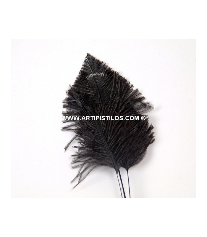 OSTRICH ARROW QUILLS