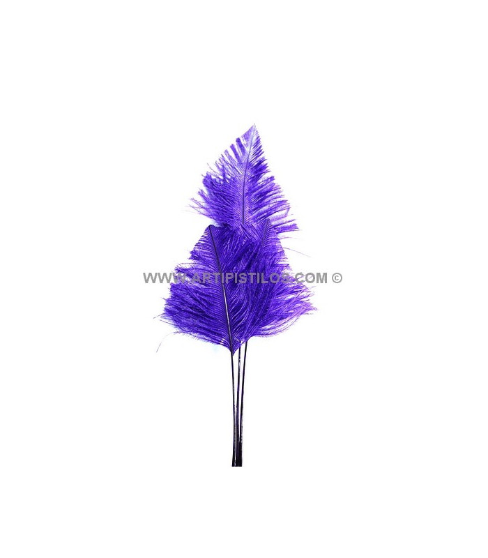 OSTRICH ARROW QUILLS