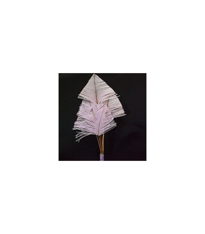 OSTRICH ARROW QUILLS