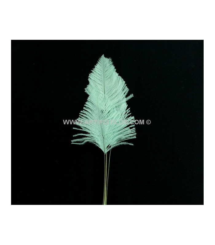 OSTRICH ARROW QUILLS