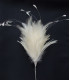 POMO DE PLUMAS DE GALLO